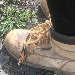 Meet your Posher, Robert